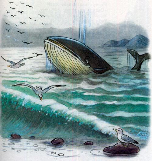 Айблоит - кит