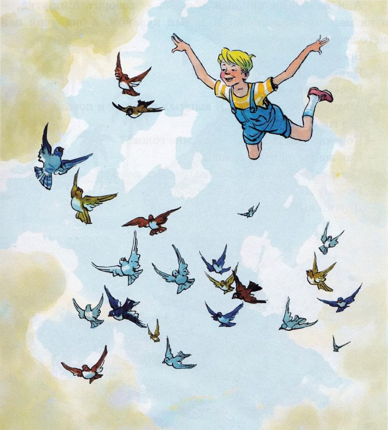Мальчик летает с птицами