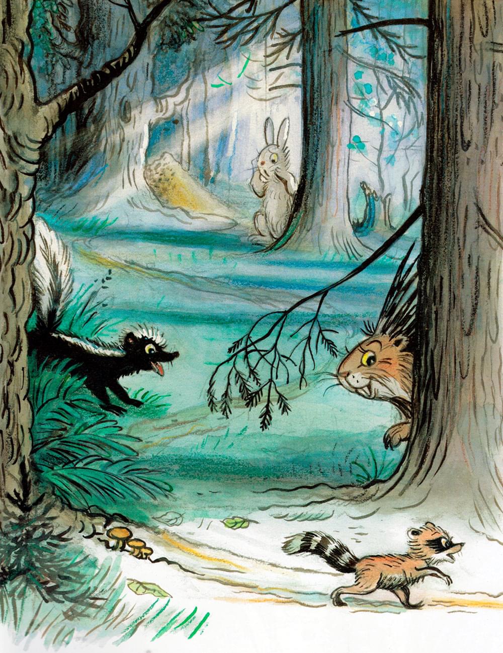 Крошка енот бежит через лес