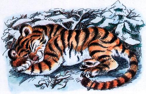 Сказка про тигрёнка на подсолнухе - картинка 6